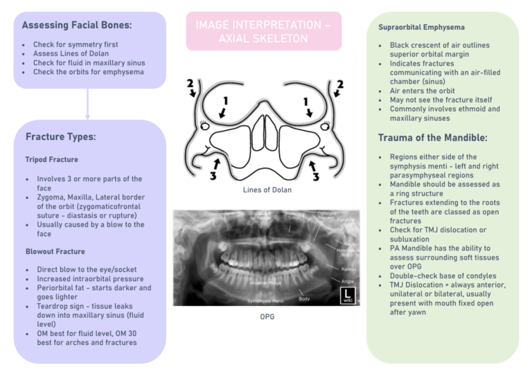 Screenshot 2025-02-21 at 8.22.46 PM